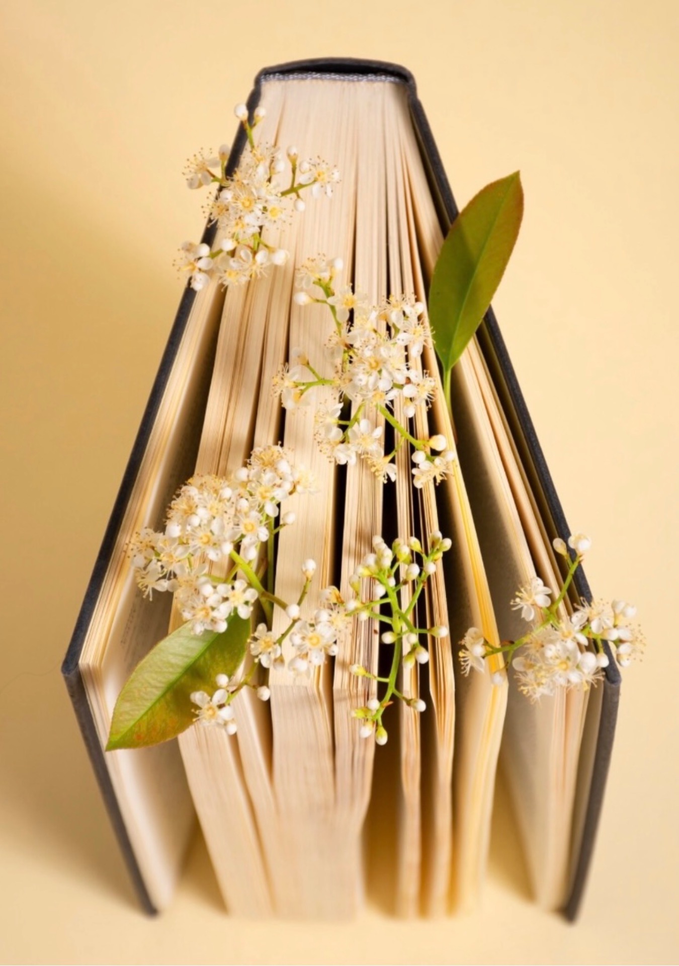 圖片來源：Freepik / www.freepik.com