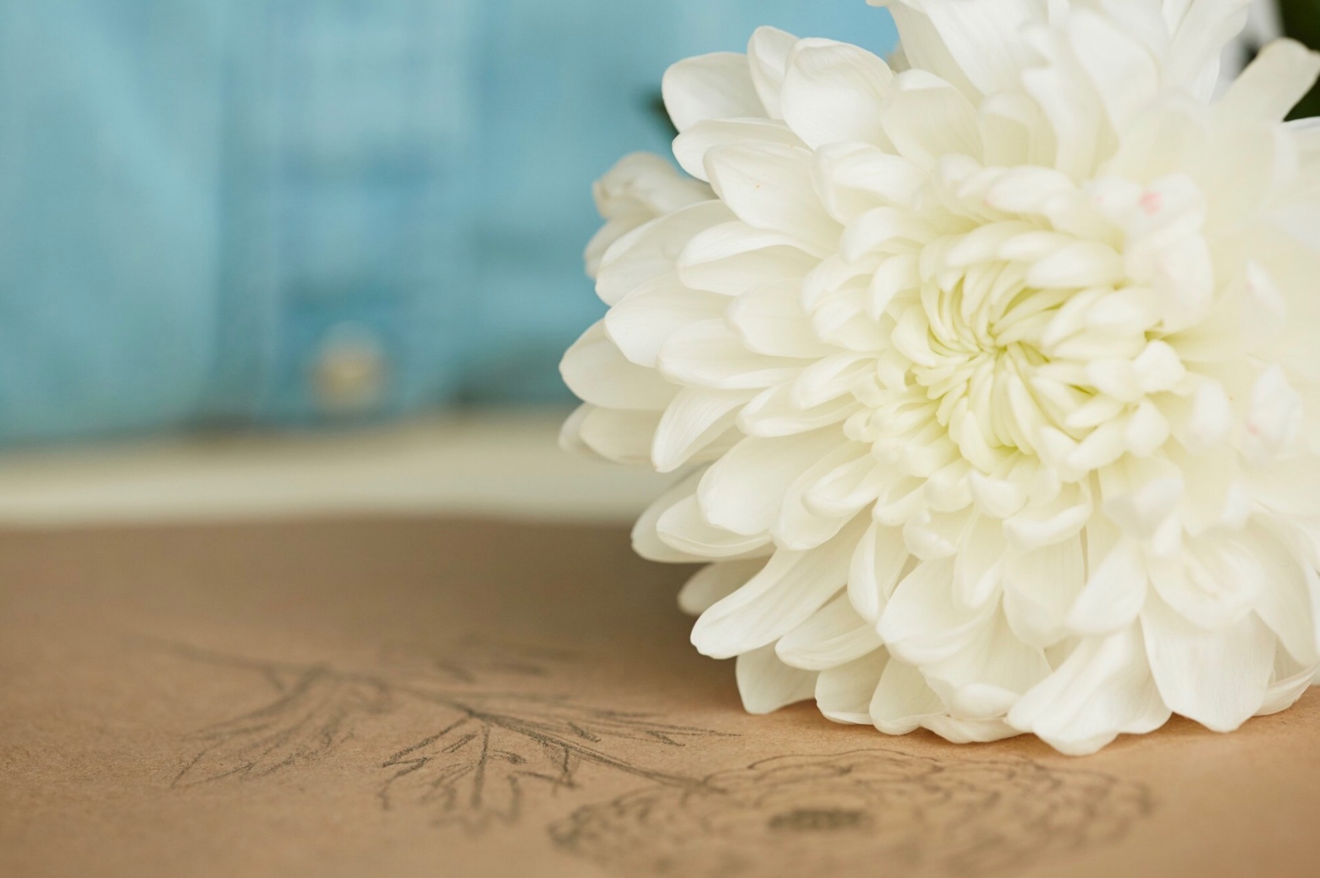 圖片來源:Freepik / www.freepik.com