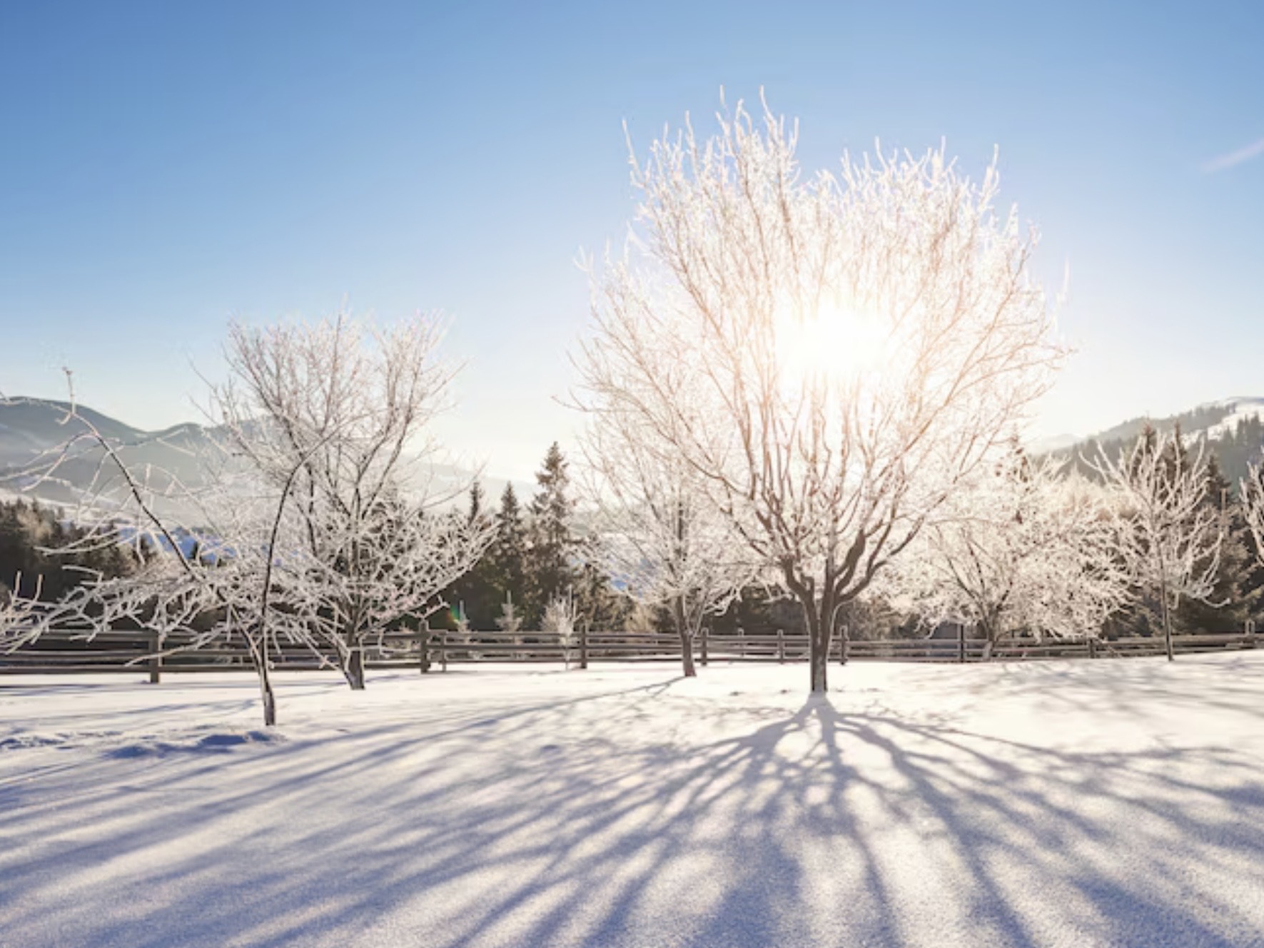 圖片來源：Freepik / www.freepik.com