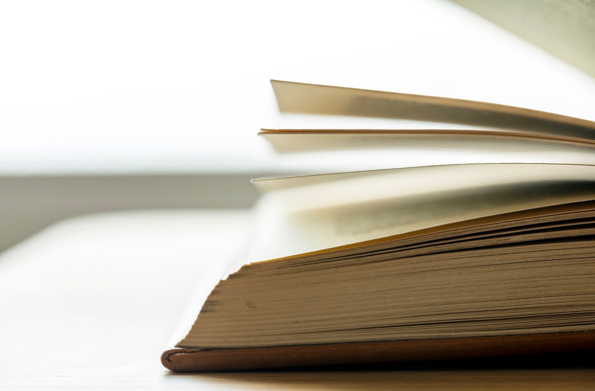 圖片來源：Freepik / www.freepik.com