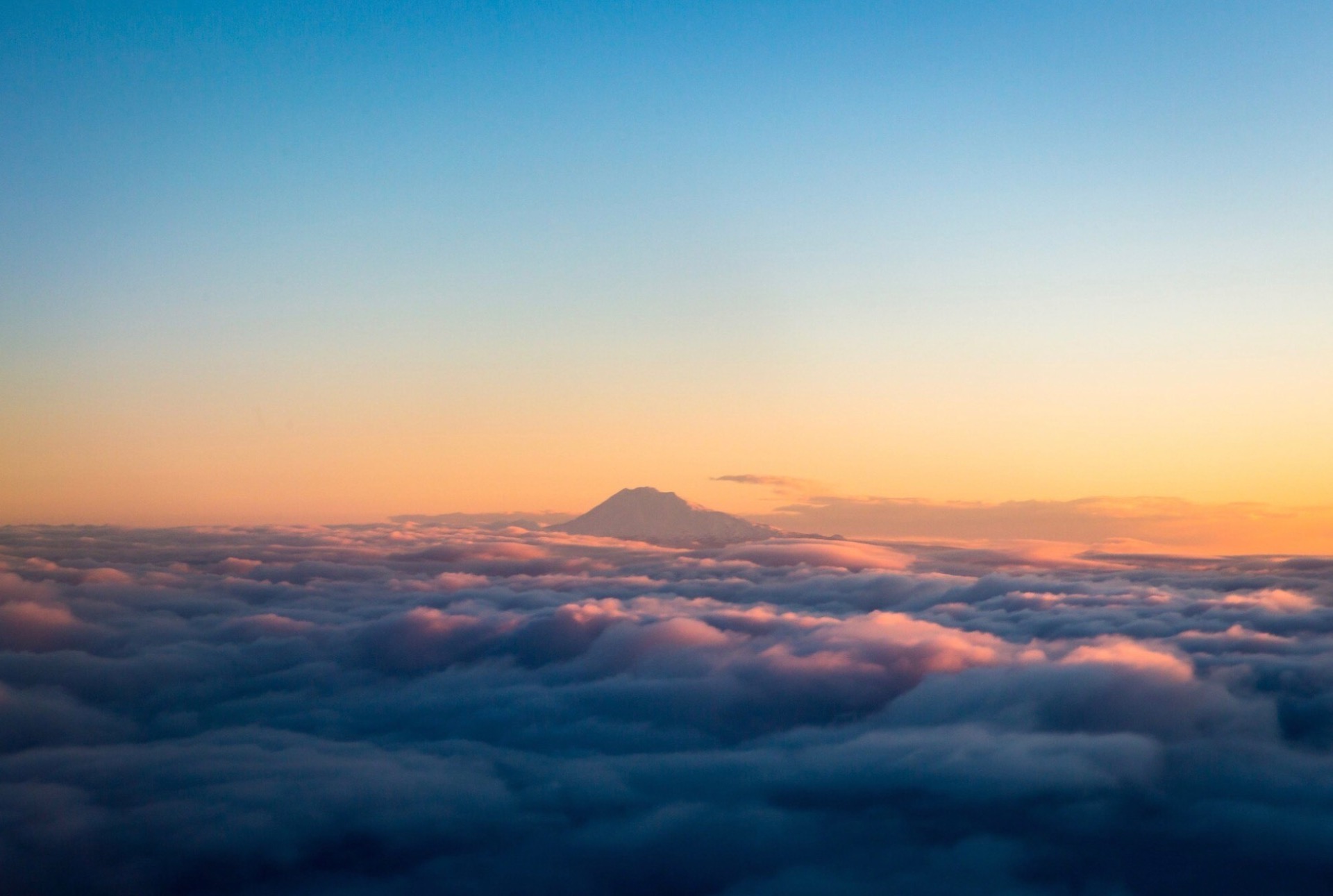 圖片來源：Freepik / www.freepik.com